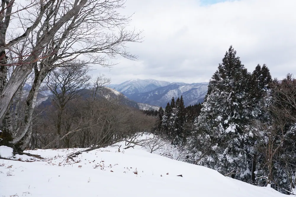 雪が積もる皆子山・平ルートの登山道
